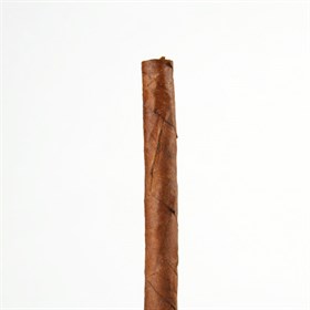 Сигариллы Cohiba Mini White (10 шт) - фото 20547