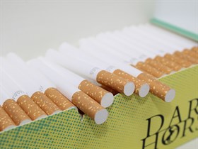 Гильзы для сигарет Dark Horse YELLOW (200 шт.) - фото 20712