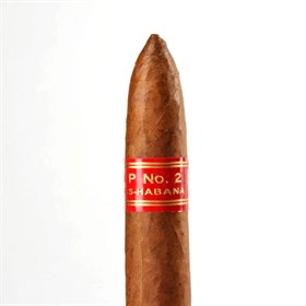 Сигара Partagas Serie P № 2 Tubo - фото 8201