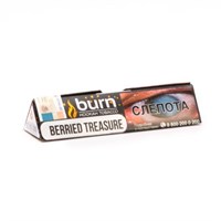 Табак для кальяна Burn Berried Treasure (20 гр)