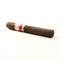 Набор сигар Casa Turrent 1880 Double Robusto ( 4 Сигары) - фото 14873