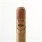 Сигара PDR A. Flores 1975 Gran Reserva Sungrown Robusto - фото 20086